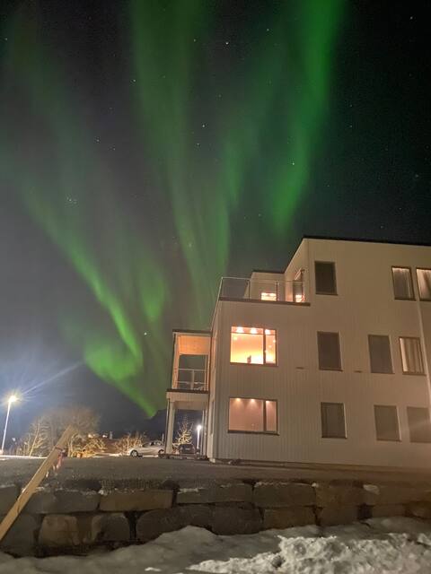 Appearance in Lofoten