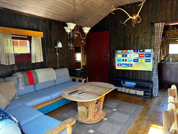 Televisión 