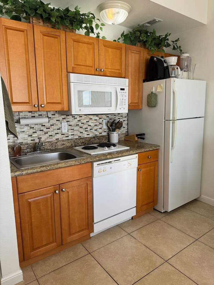Gulf Waterfront Studio! Near Madeira Beach - Madeira Beach, FL