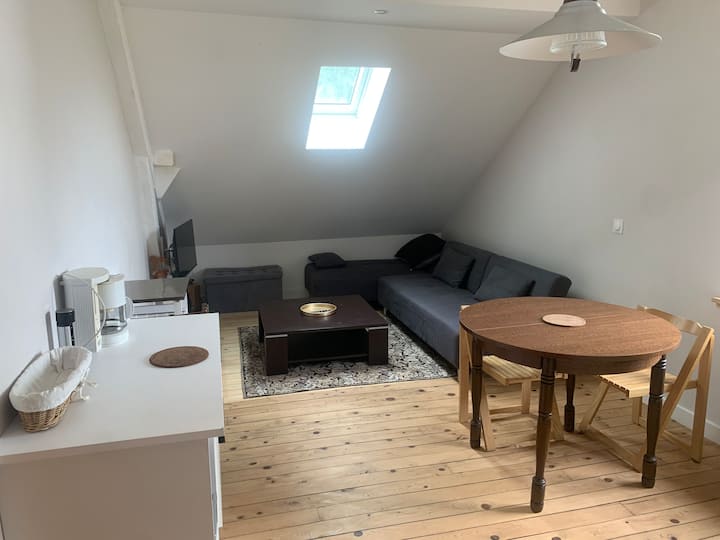 L’attic Chaleureux (Parking Gratuit) - Besançon