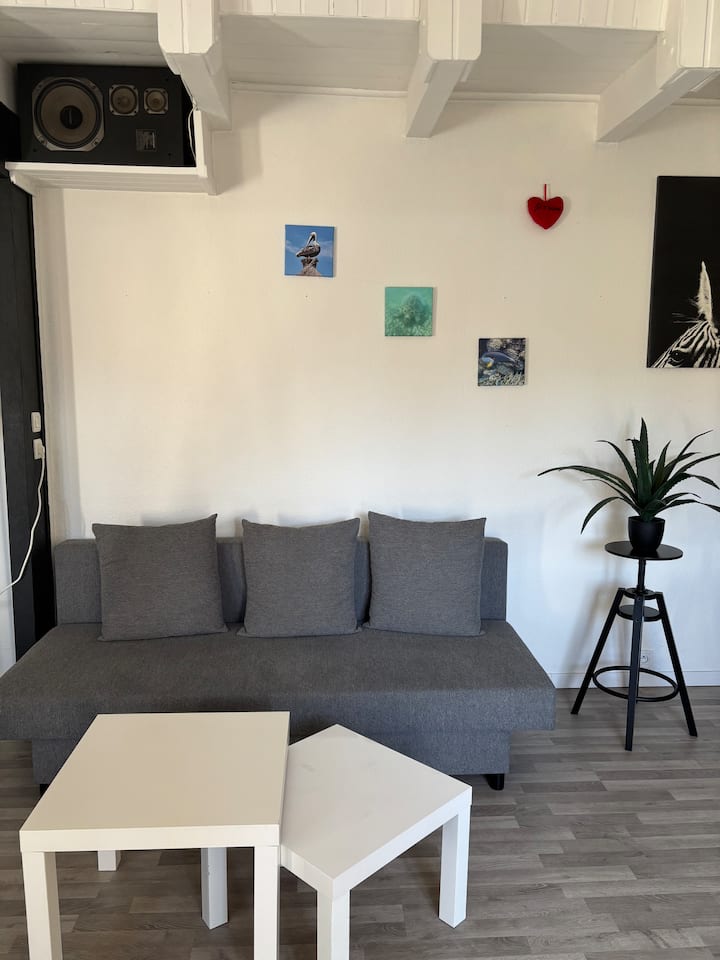 Studio Lumineux Indépendant Proche Gare/commerces - Brumath