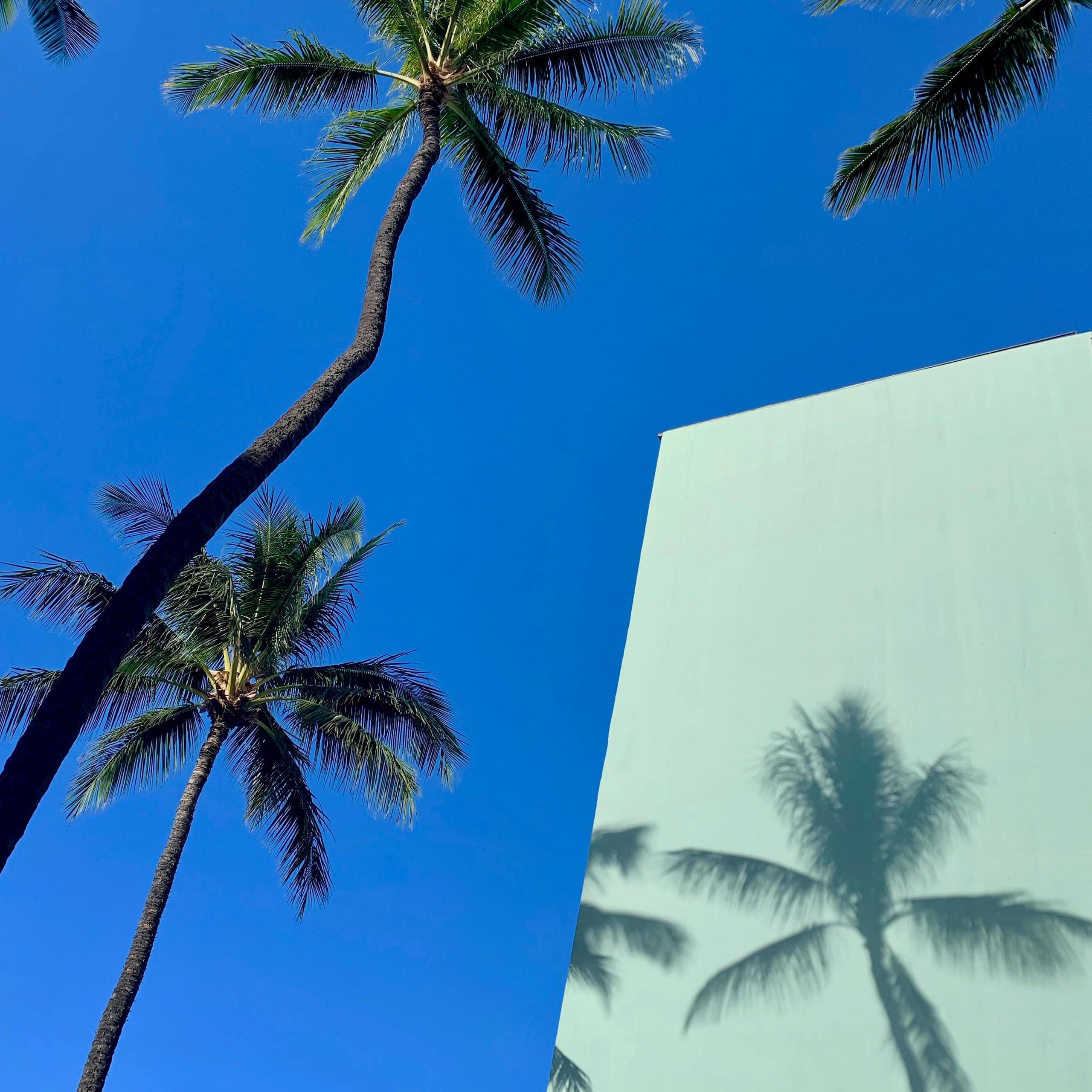 Condo in Honolulu · ★4.81 · Studio · 2 beds · 1 private bath - Image 99
