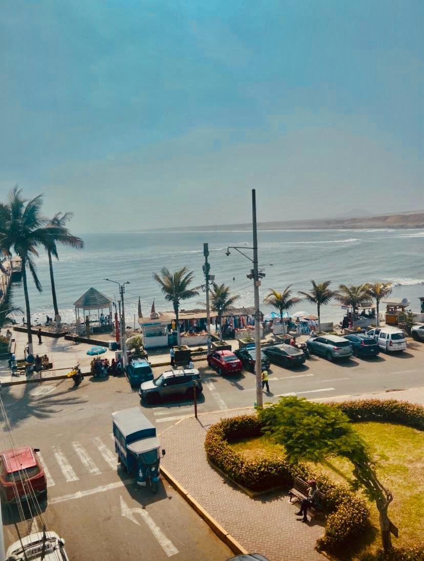 A vibrant seaside view is presented, featuring gentle waves lapping at the shore. Palm trees line the beach, and various vehicles are parked along the road. Sunlight fills the setting, creating a lively atmosphere in this coastal location.