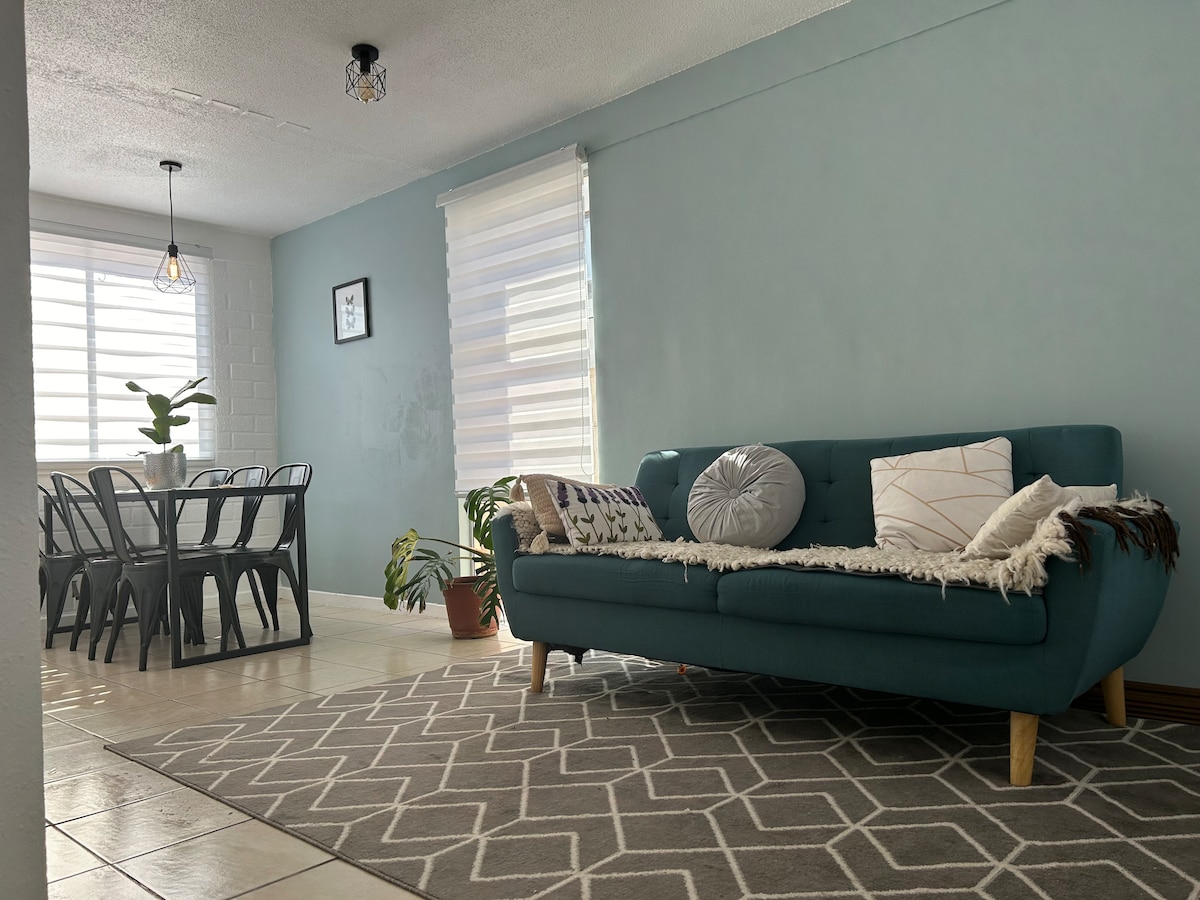 A cozy living area features a teal sofa adorned with patterned pillows, complemented by a geometric area rug. Natural light enters through a window with sheer blinds, illuminating a nearby dining space with metal chairs and a decorative plant.