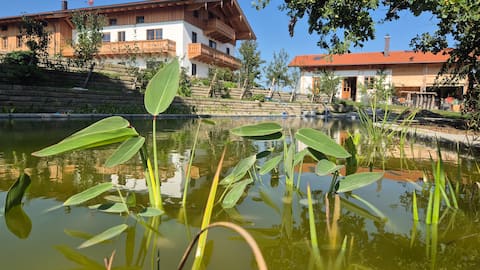 2 apartments for eight people 

Fembacher Alm