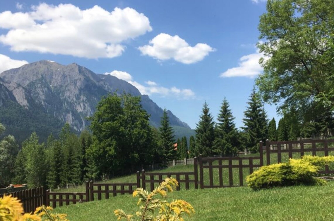 The image showcases a lush green landscape framed by a wooden fence. In the background, the Bucegi mountain range rises majestically, under a clear blue sky with fluffy white clouds. The scene conveys a serene natural beauty, complemented by scattered trees and vibrant greenery.