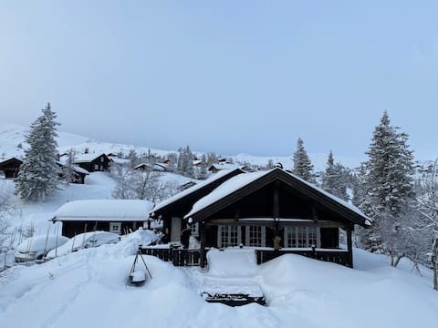 Great cottage on Vegglifjell