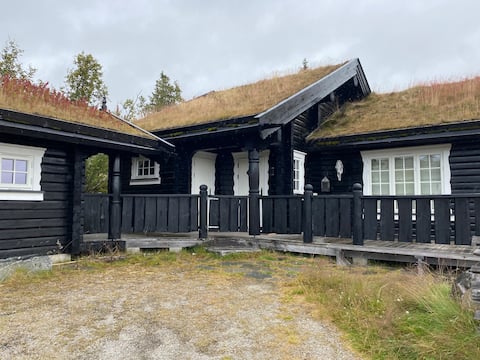 Great cottage on Vegglifjell