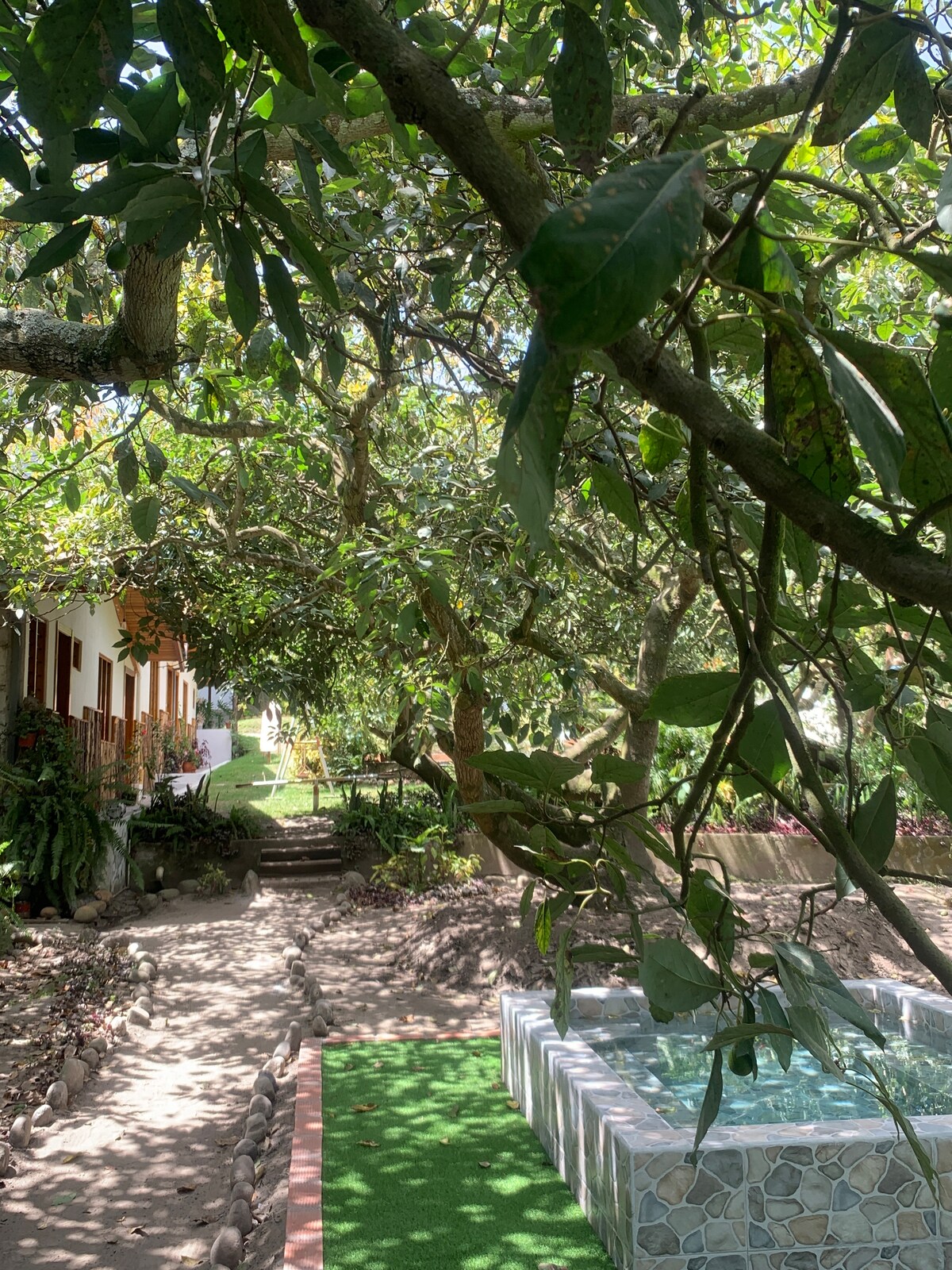A serene pathway leads through lush greenery, flanked by trees and plants. A stone structure, possibly a small pool, is positioned near the pathway, creating a tranquil setting. The main building, with wooden accents, is visible in the background.