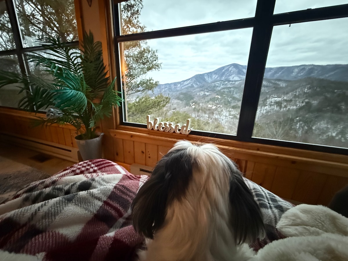 A cozy seating area is visible with a pet gazing out at the expansive mountain view through large windows. Soft blankets are draped over the furniture, and a decorative plant adds greenery to the inviting interior space.