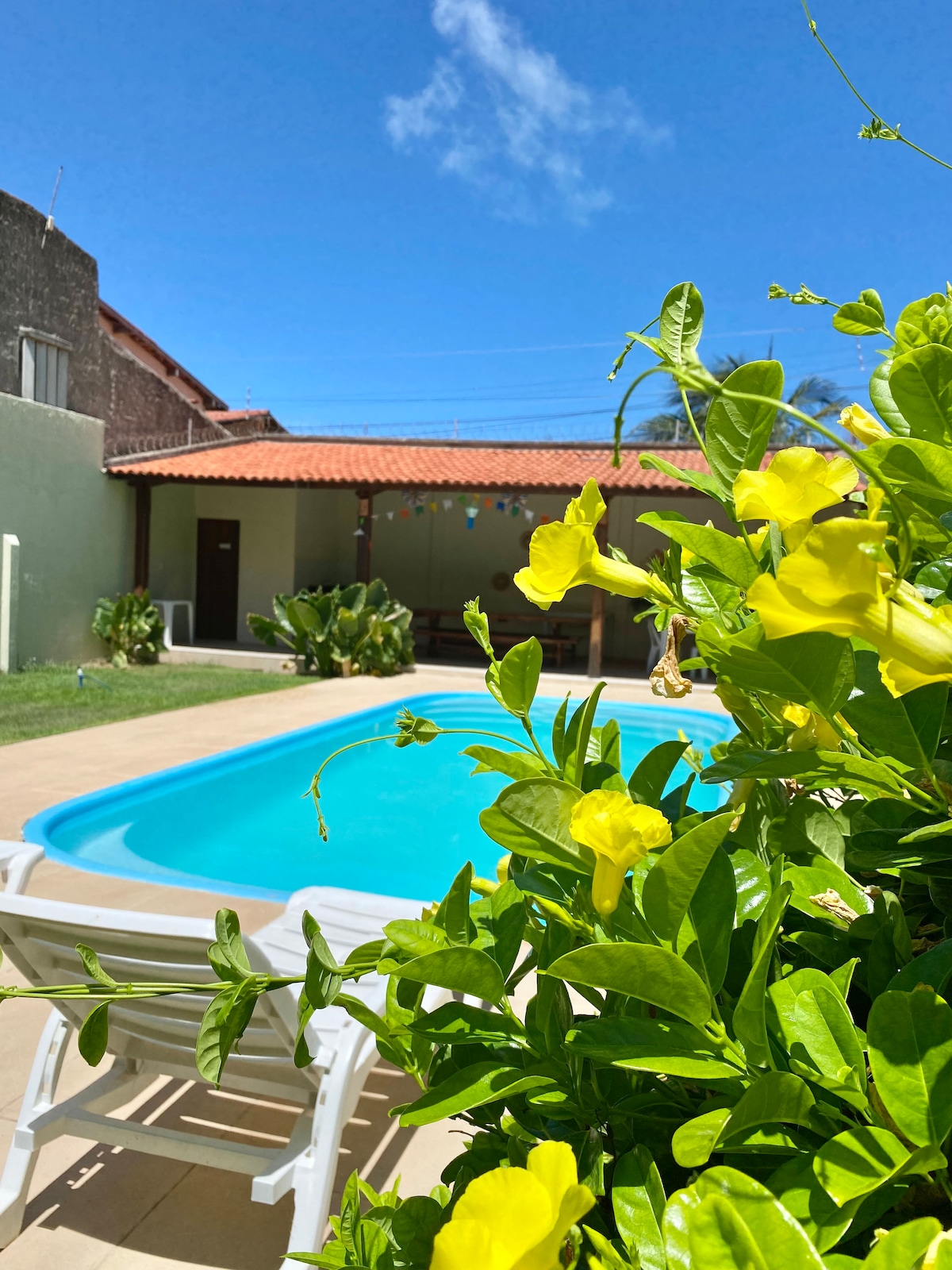 A clear blue swimming pool is framed by vibrant yellow flowers and lush greenery. Sunlight reflects off the water's surface, while a tiled area surrounds the pool, providing space for relaxation. A shaded structure is visible in the background, contributing to the outdoor atmosphere.
