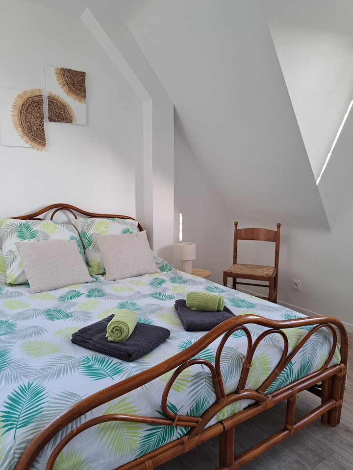 Habitación 1