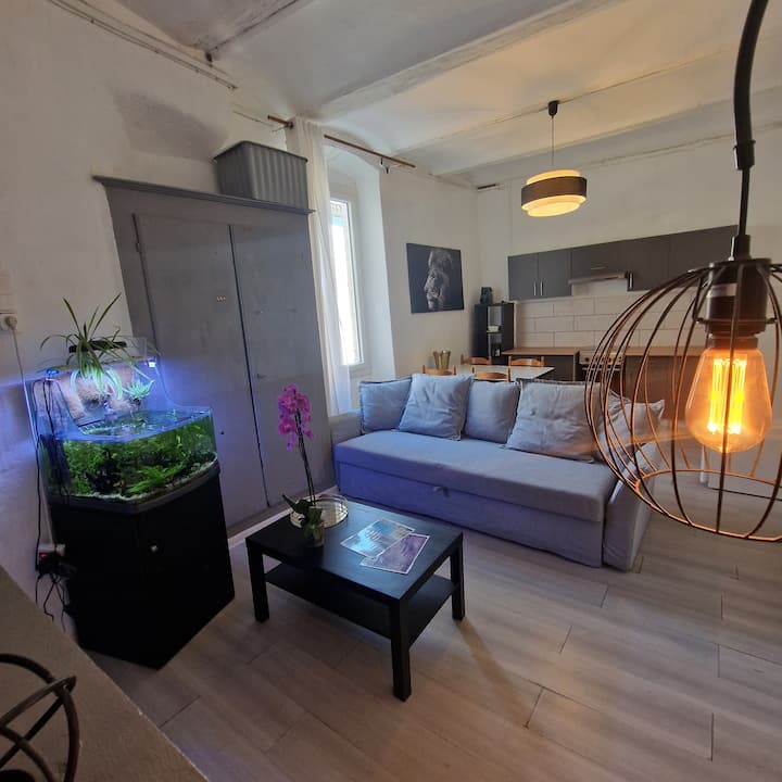Superbe Appartement Au Cœur De La Vielle Ville - Saint-Ambroix