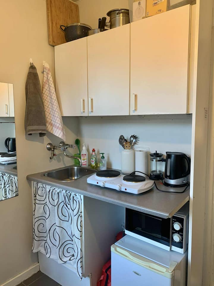 The Best Location In The Central /Downtown Area. - Reikiavik