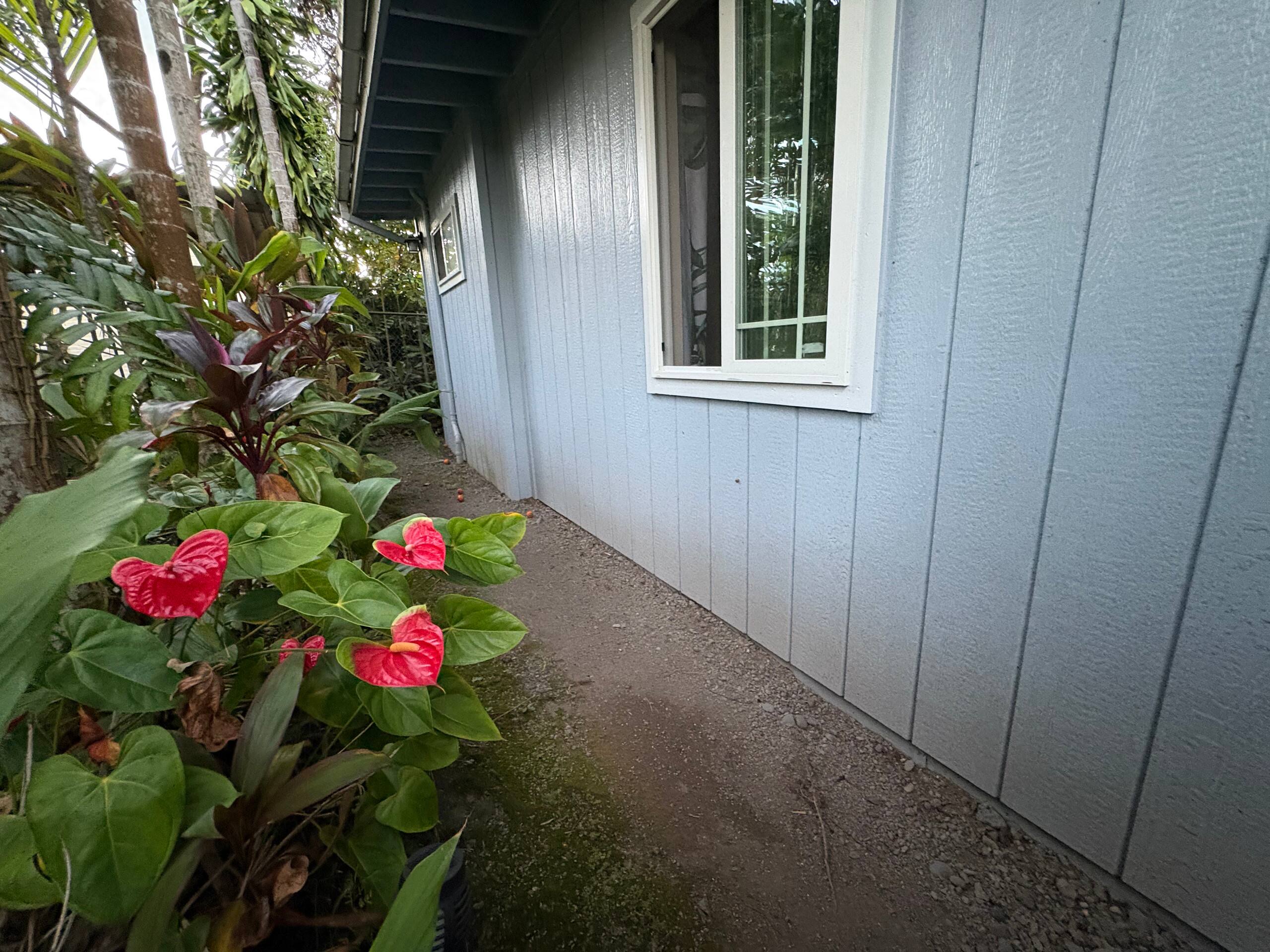 Guesthouse in Hilo · ★4.88 · 1 bedroom · 2 beds · 1 private bath - Image 19