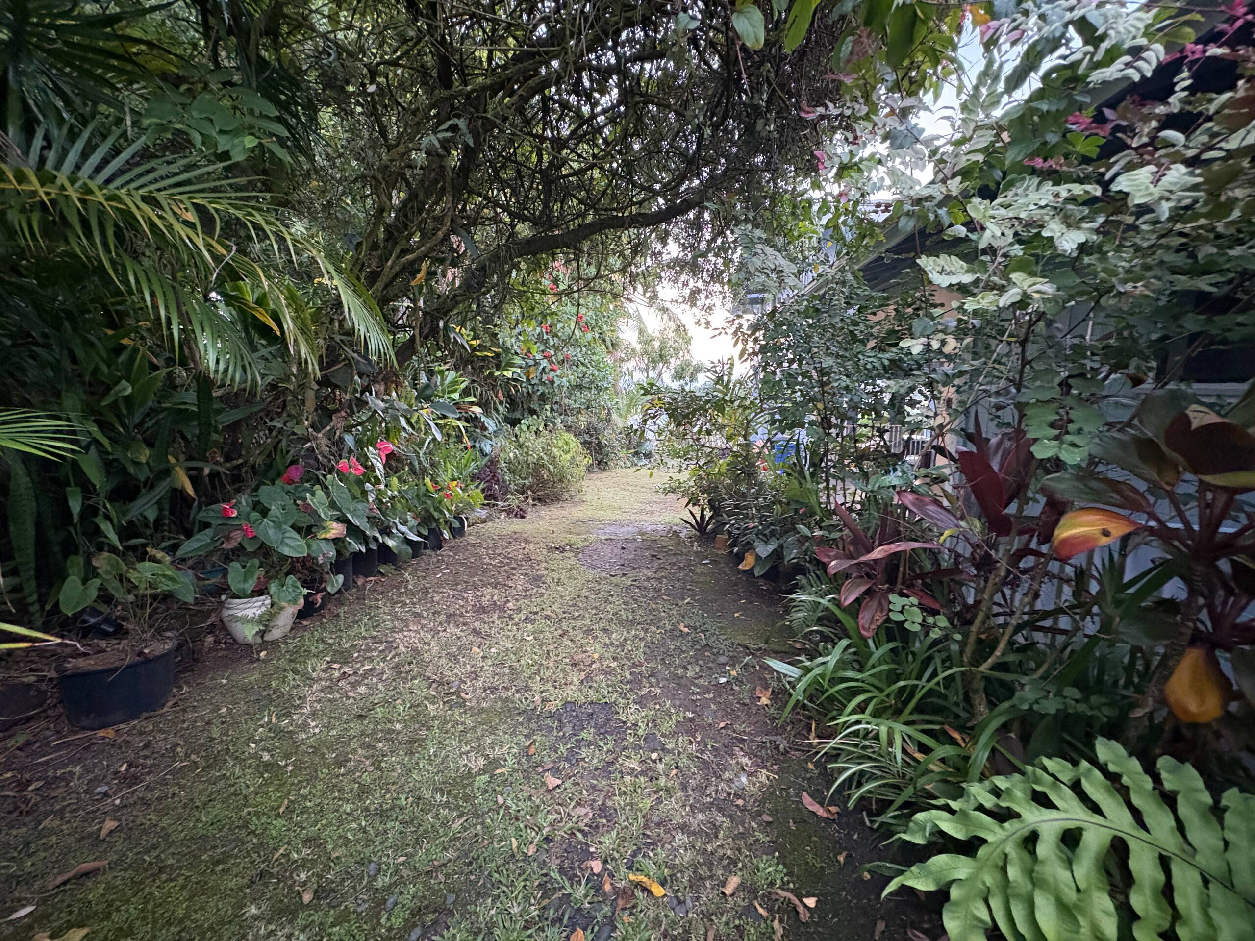 Guesthouse in Hilo · ★4.88 · 1 bedroom · 2 beds · 1 private bath - Image 15