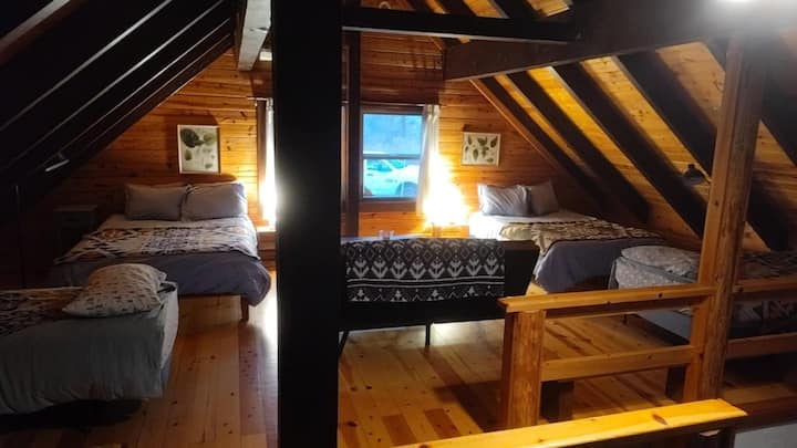 Habitación 1