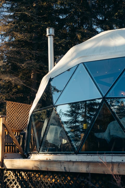 Top Airbnb: LSD | Luxe Serenity Dome | Firepit & Sauna in Columbia Shuswap A