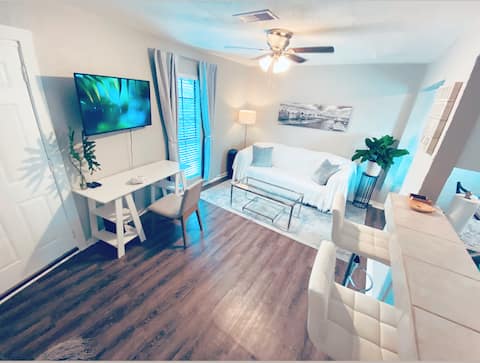 Successful Airbnb property: Newly Remodeled Oasis | Fast WiFi + Vit C Shower in Northside / Northline