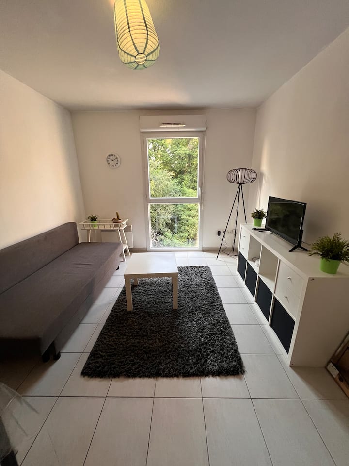 Bel Appartement - Parking, Wifi - Près De Bordeaux - Cestas