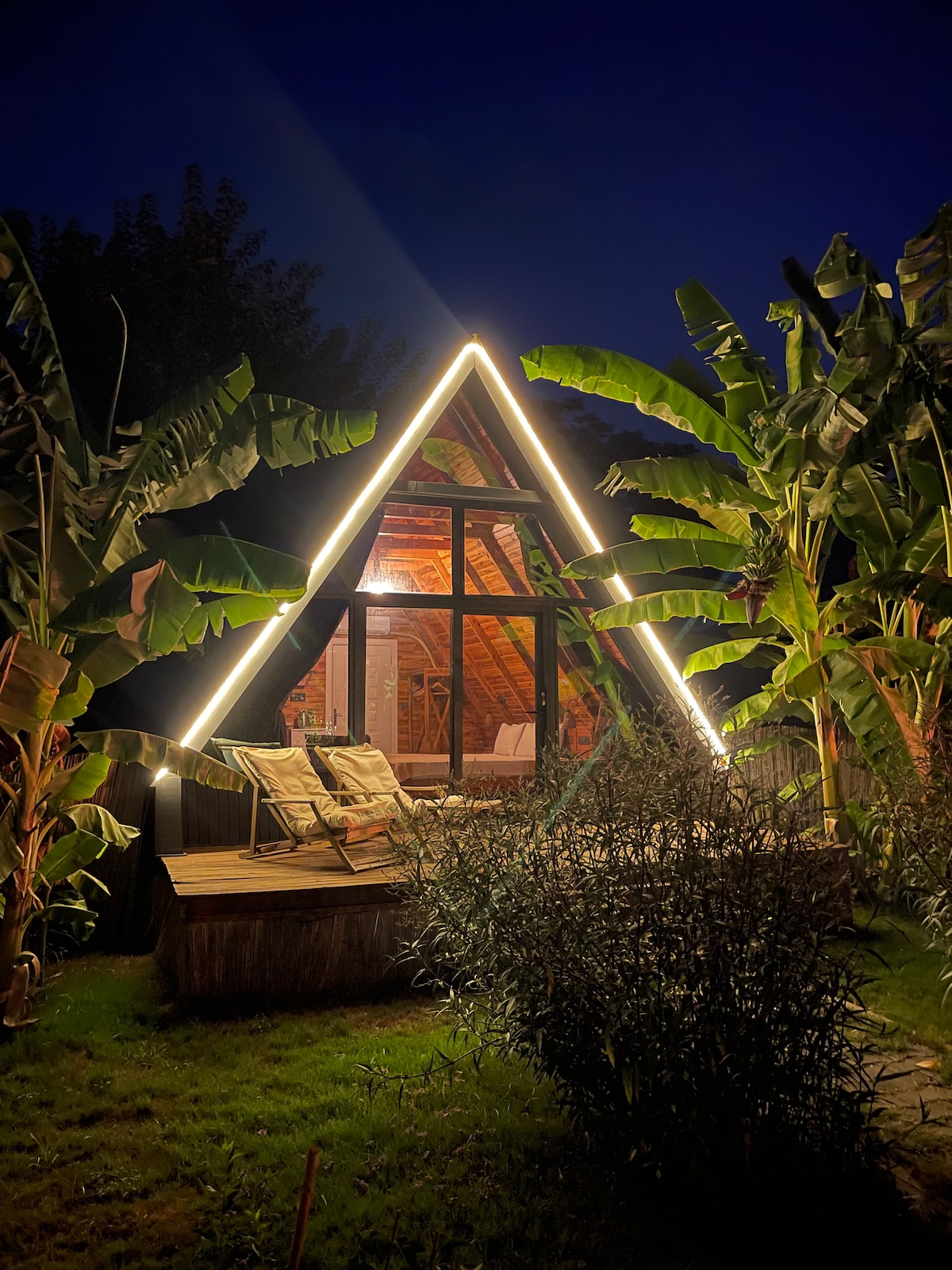 A charming bungalow with a triangular roof is illuminated by soft lighting. Lush banana plants surround the exterior, creating a tropical ambiance. The expansive glass windows provide a view of the warm interior, while two lounge chairs sit invitingly on the wooden deck.