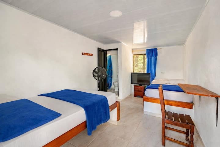 Habitación 2