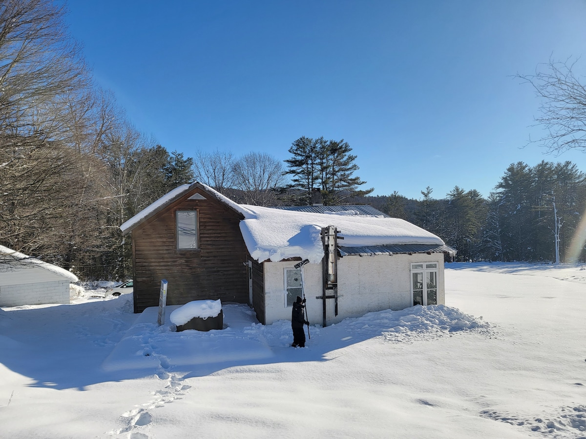 Outdoor grounds and forest
