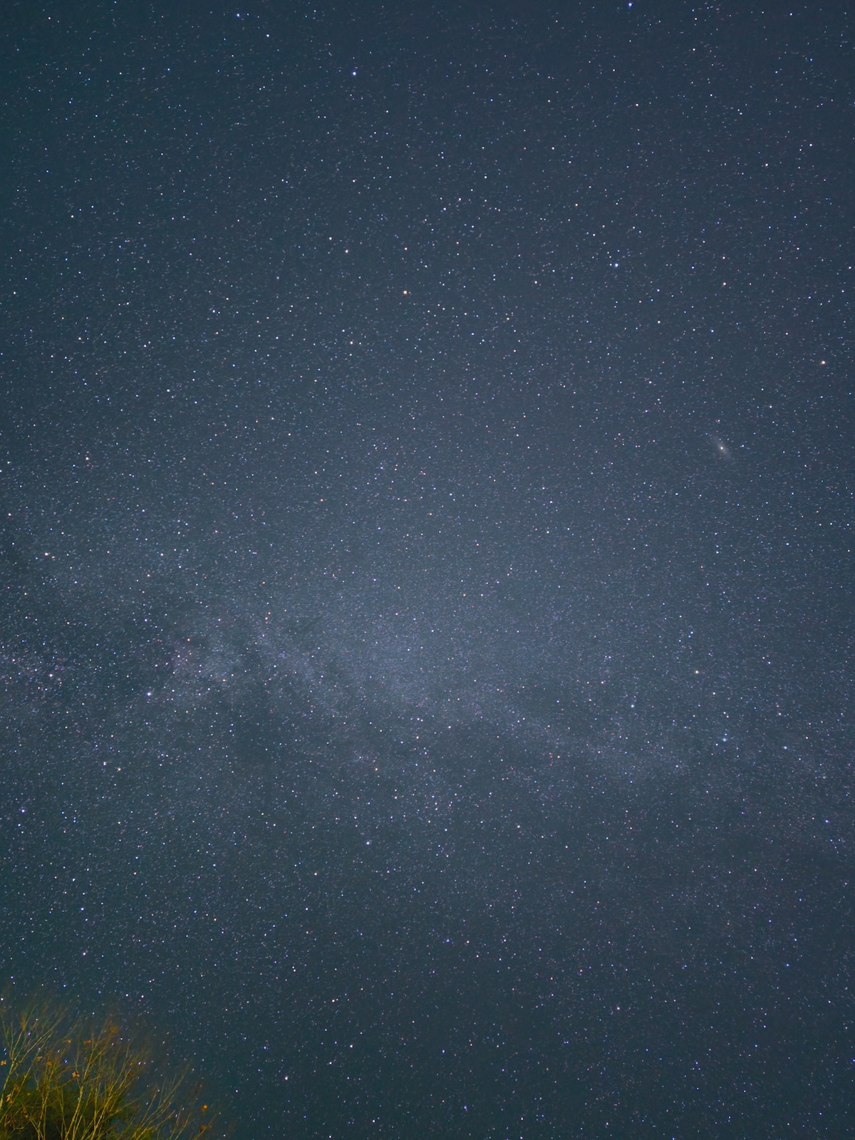 Scenic Adirondack views from the property