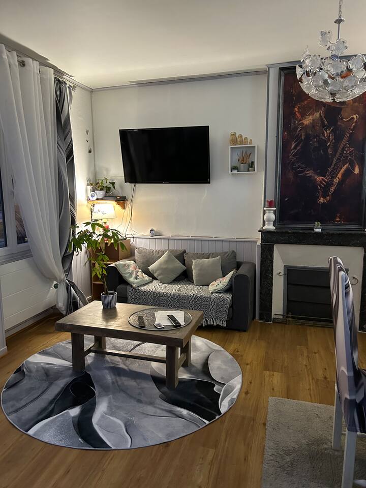Maison Cocoon Et Chaleureuse - Marne