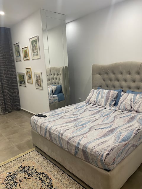 Small luxury apartment decorated with taste
