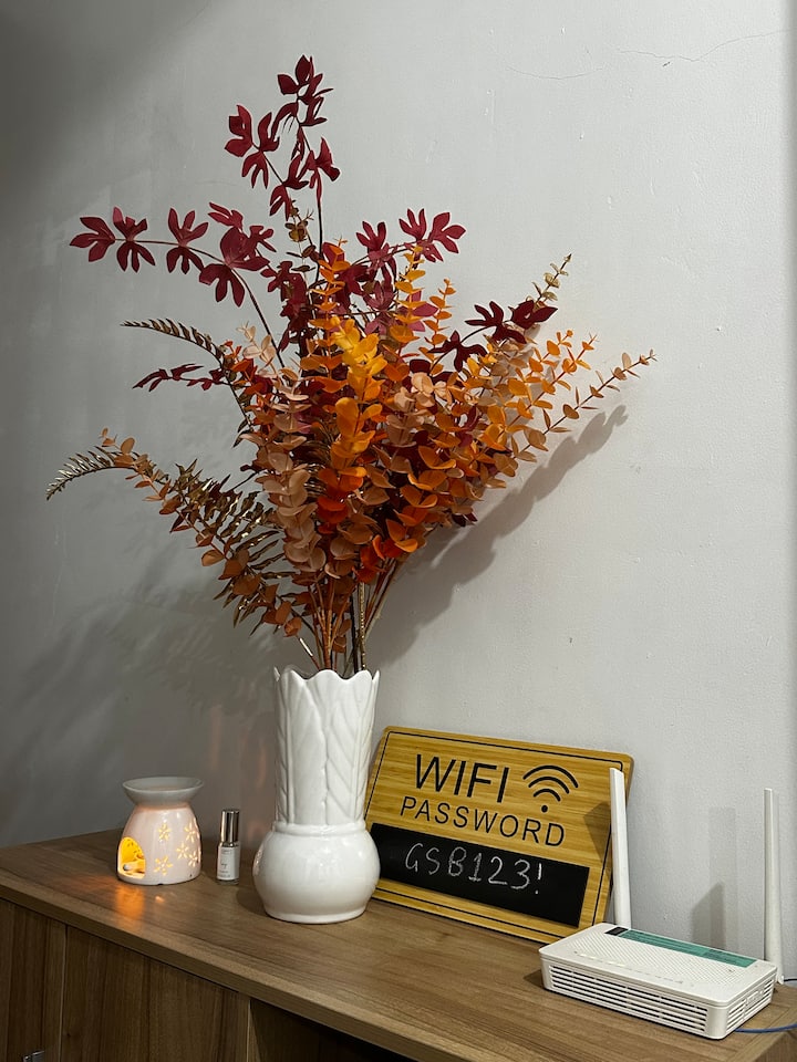 Spacious 2 Br Suite( Unit4)in The City With Wifi - Tuguegarao City