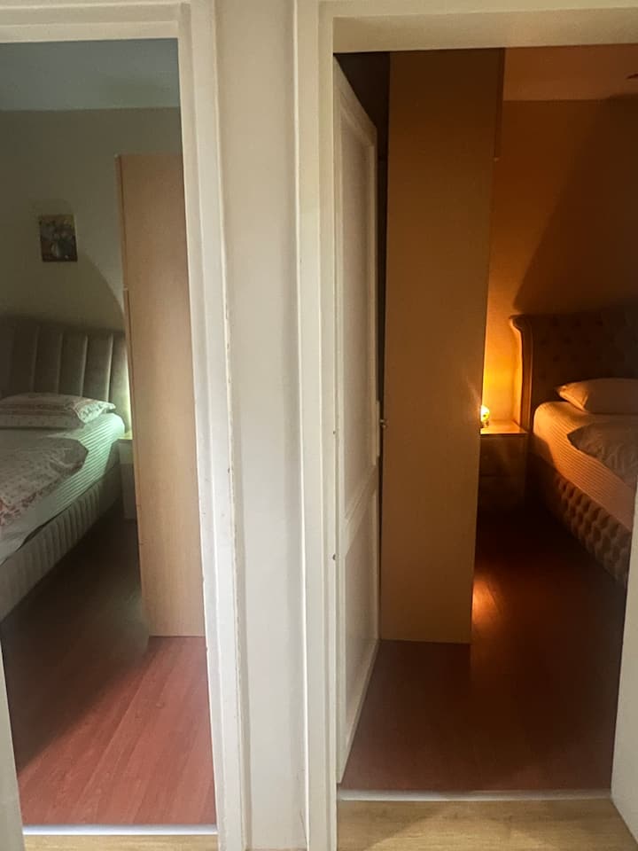Habitación 1