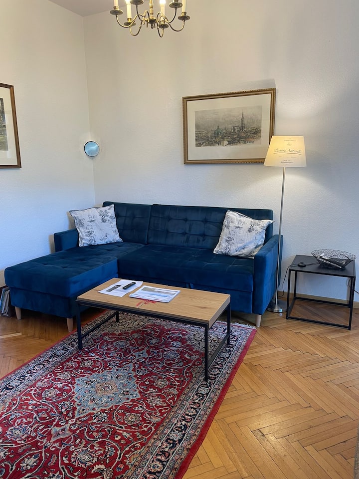 Maison Parking Gratuit, Jardin, Balcon Terrasse - Vienna