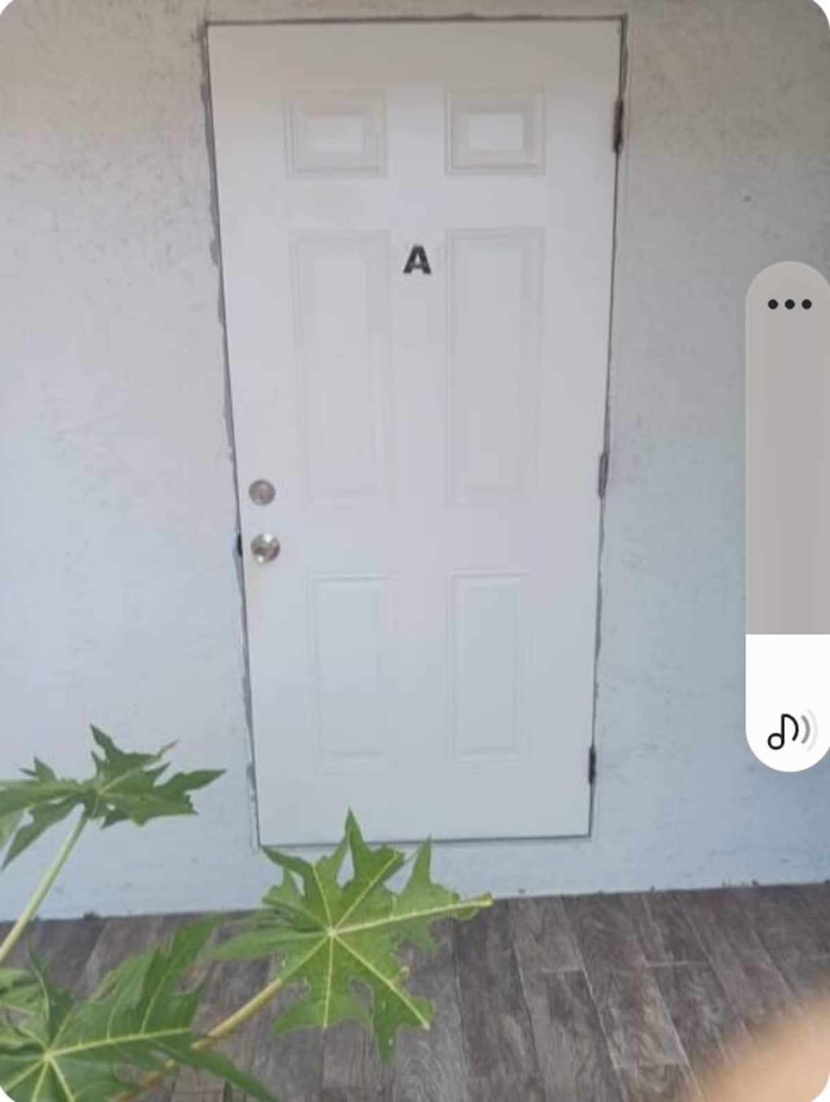 The private entrance door to the Garden Studio