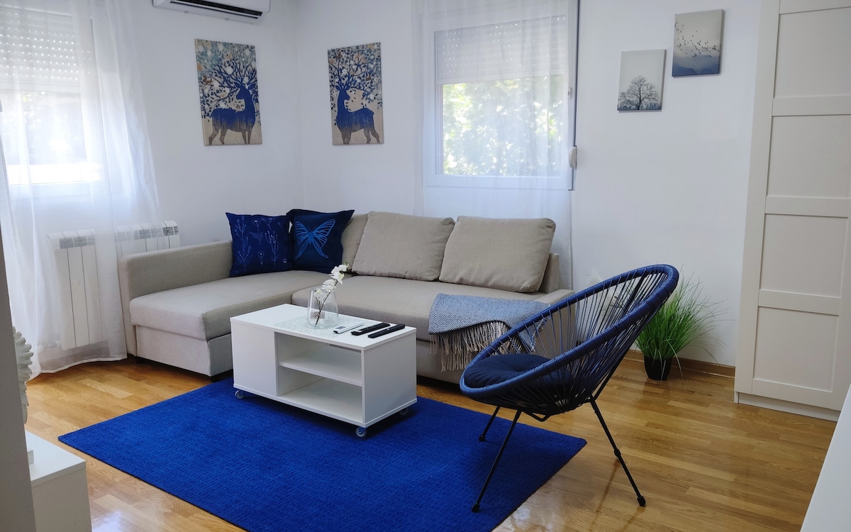 A living area features a comfortable sectional sofa adorned with decorative blue pillows. A round, open chair complements a simple coffee table set on a vibrant blue rug. Artwork depicting nature hangs on the light-colored walls, enhancing the serene atmosphere.
