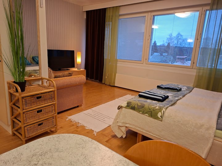 Keskustan Valoisa Yksiö + Liinavaatteet - Lieksa