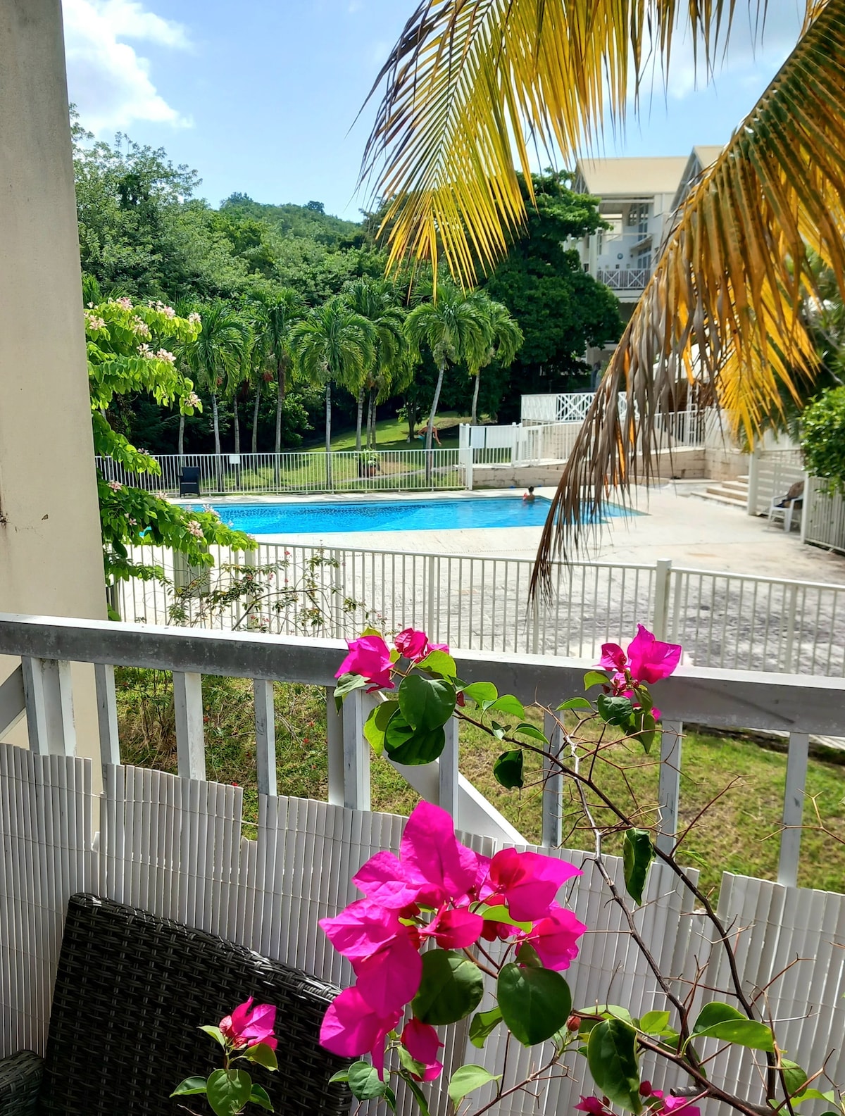 A view from a terrace features vibrant pink bougainvillea flowers in the foreground, with a clear, inviting pool visible in the background. Lush greenery surrounds the pool area, and palm trees are seen gently swaying in the breeze under a bright blue sky.