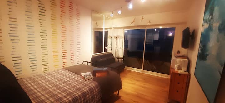 sejour avec un canapé, table , tabourets, TV, lit 2 pers tout comfort de 1m40 x 2m (matelas tout neuf épais sur sommier a lattes de qualité), 
Dès votre entrée dans le studio vous verrez la splendide vue mer !
Linge fourni .
Documents touristiques.