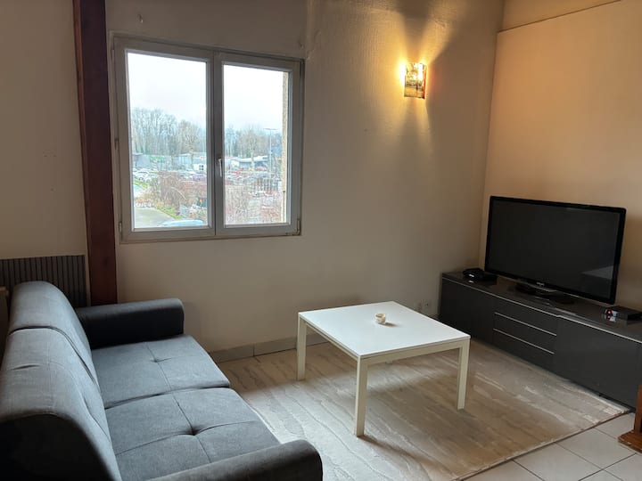 Appartement Au Porte De Geneve - Saint-Genis-Pouilly