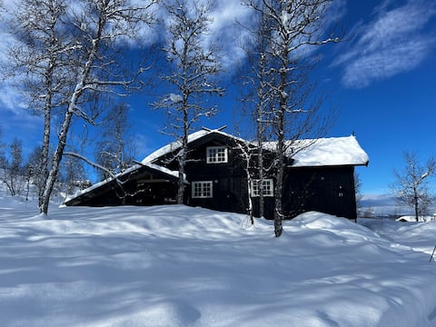 Great mountain cabin on Vaset - ski in/out