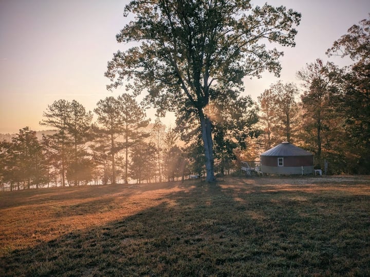 The Hive - Yurt Stay on micro farm