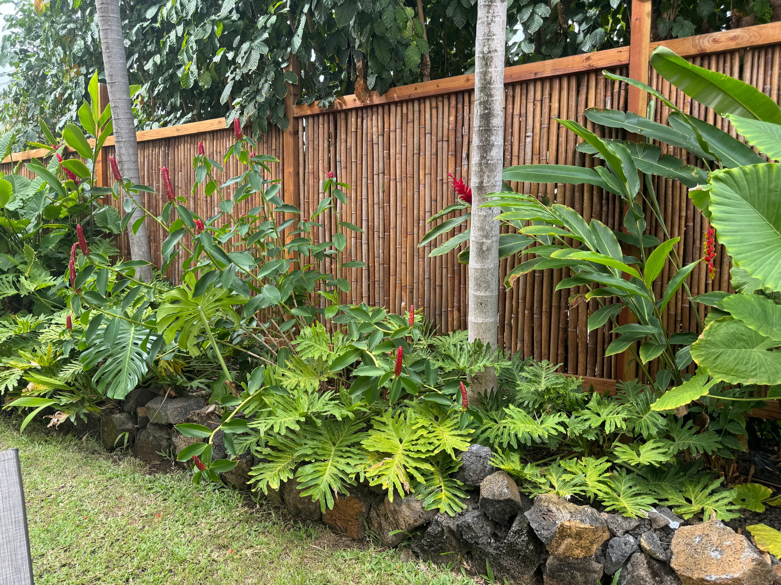 1 bedroom in Kona w/ocean view near Turtle Beach-P - Photo 9