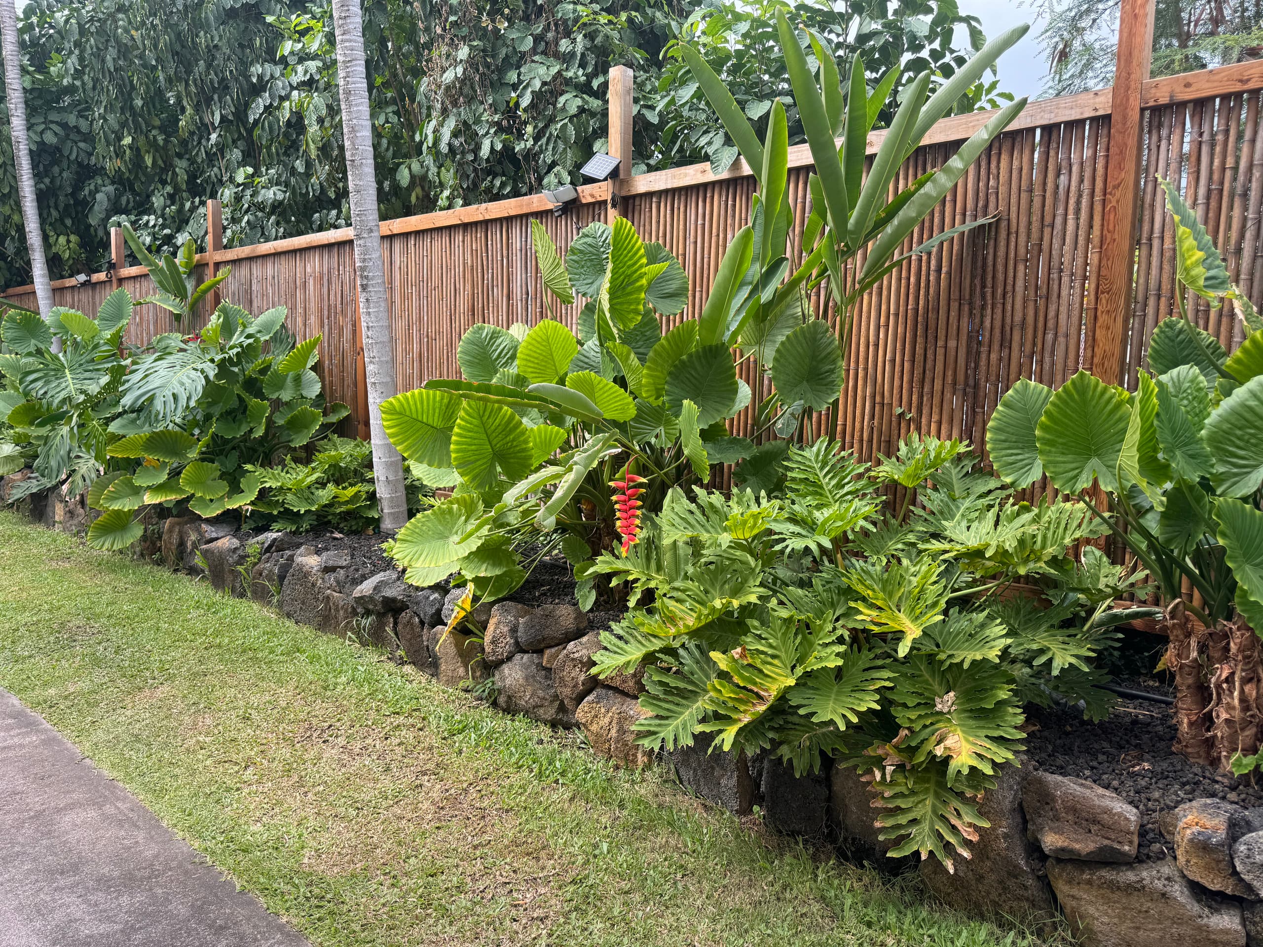 1 bedroom in Kona w/ocean view near Turtle Beach-P - Photo 8