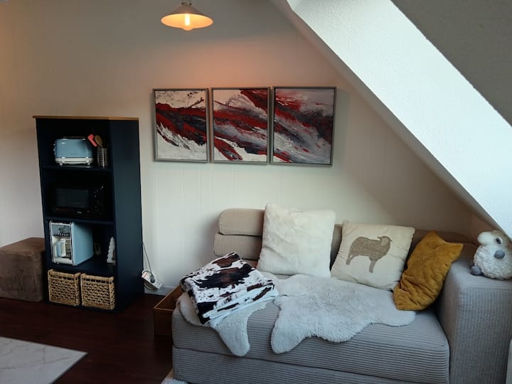 Appartement Cosy 2 Chambres. Vue Sur La Montagne - Lac Chambon