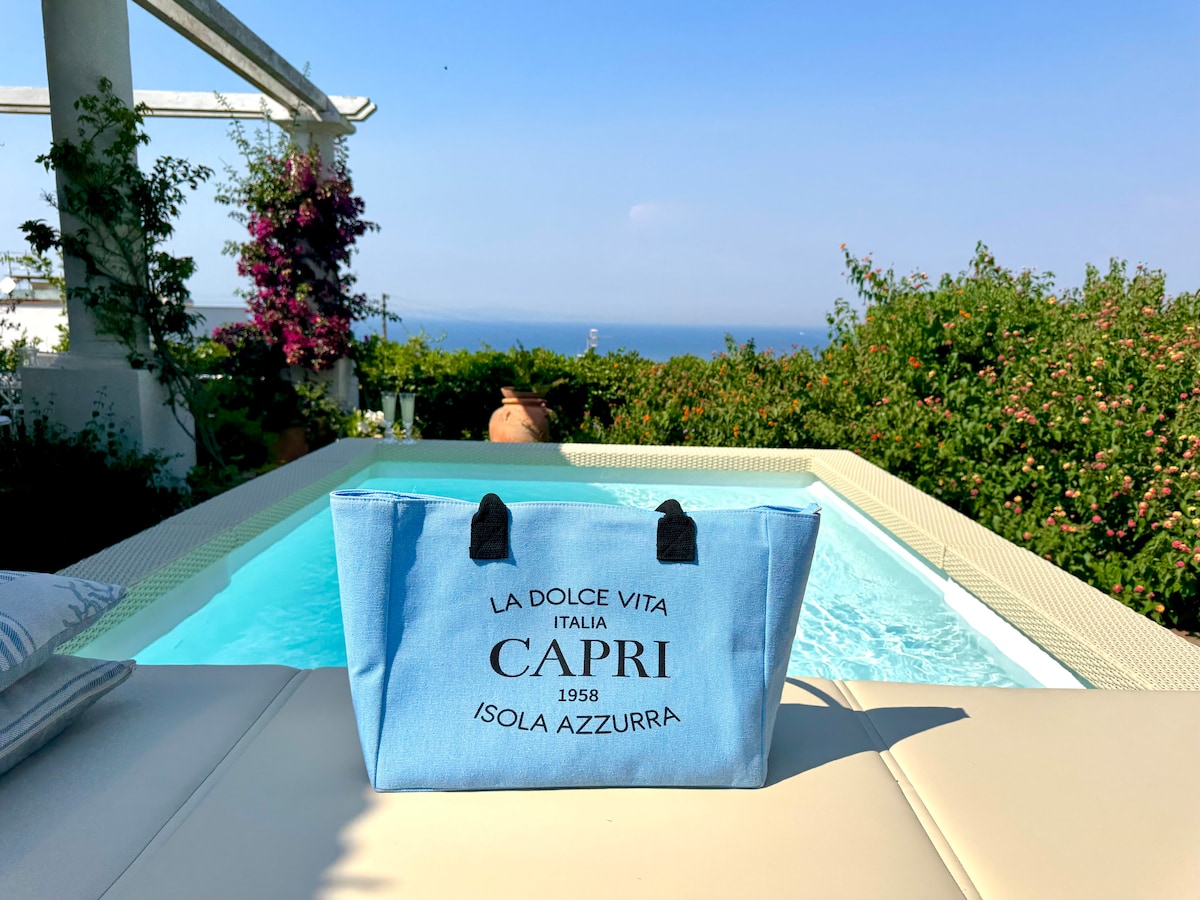 Villa La Capperina with private bathtub in Capri