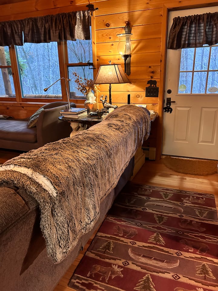 Real Log Cabin,stone Fireplace,great Wifi, Private - Phoenicia, NY