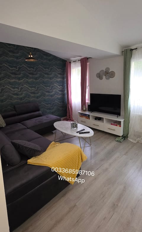 Apartment near Paris CDG Asterisk Disney