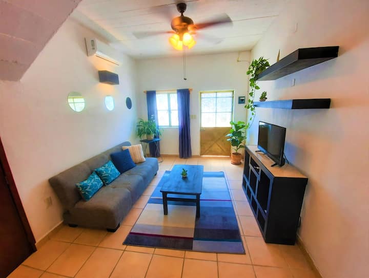 Romantic Zone Apartment - Puerto Vallarta