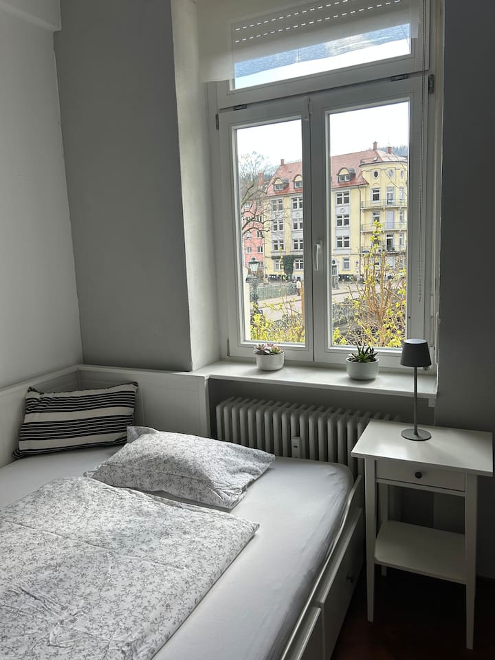 Schönes Zimmer In Der Nähe Zur Altstadt - Fribourg-en-Brisgau