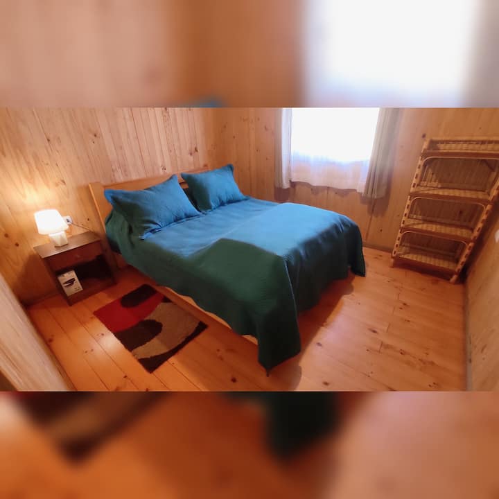 Habitación 1